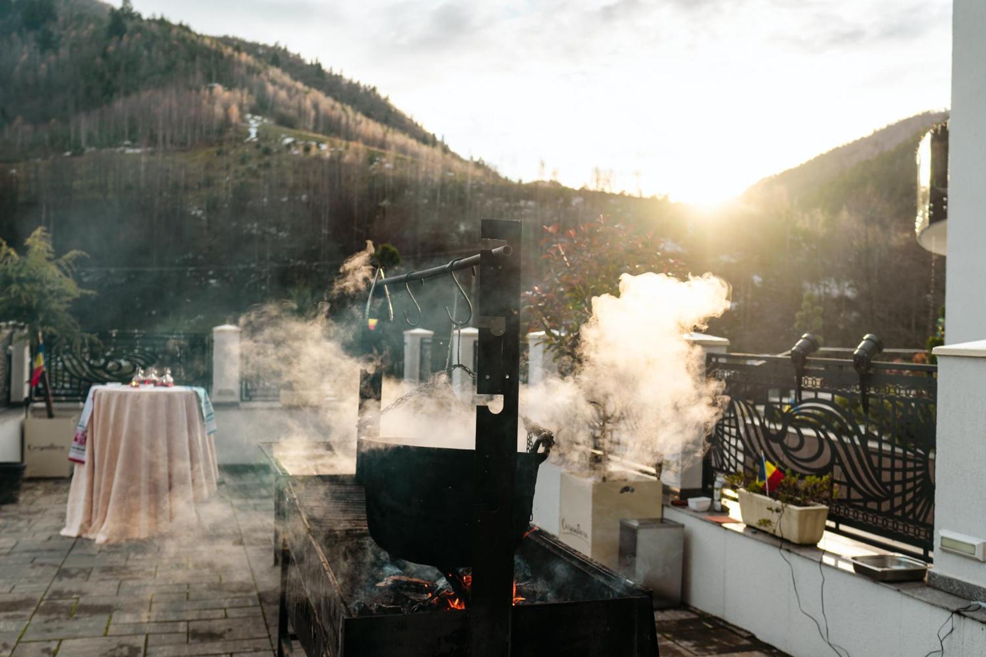 Carpentiere Arena Hotel Rasinari